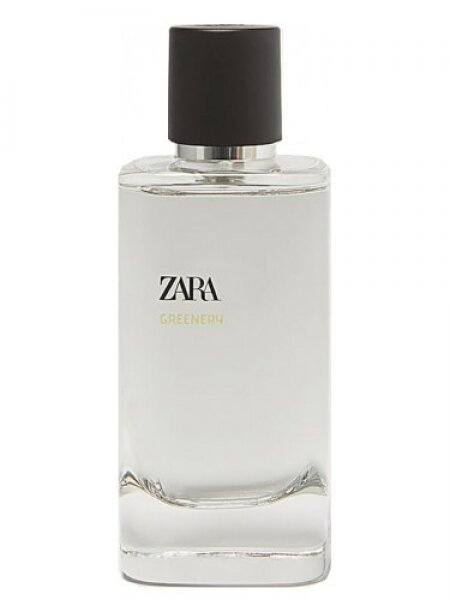Zara Greenery EDP 120 ml Erkek Parfümü kullananlar yorumlar